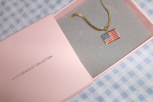 THE 🇺🇸